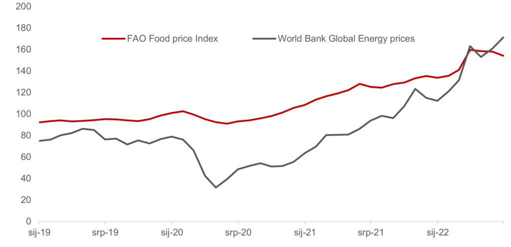 Recesija - graf 1. prikaz rasta cijena hrane i energenata
